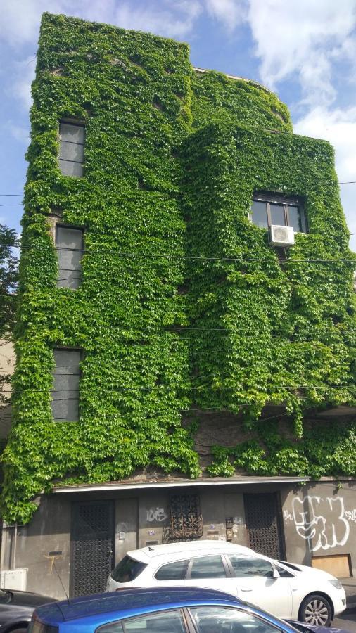 Central Green House Bucureşti Ngoại thất bức ảnh